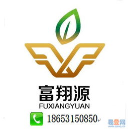 濟南公司代理記賬服務(wù)詳解 歷城區(qū)洪家樓易登網(wǎng)與知識產(chǎn)權(quán)代理的協(xié)同優(yōu)勢